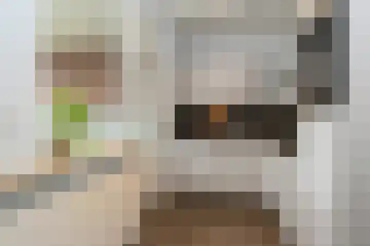 de Keverbergstraat 34 Haelen thumbnail 4