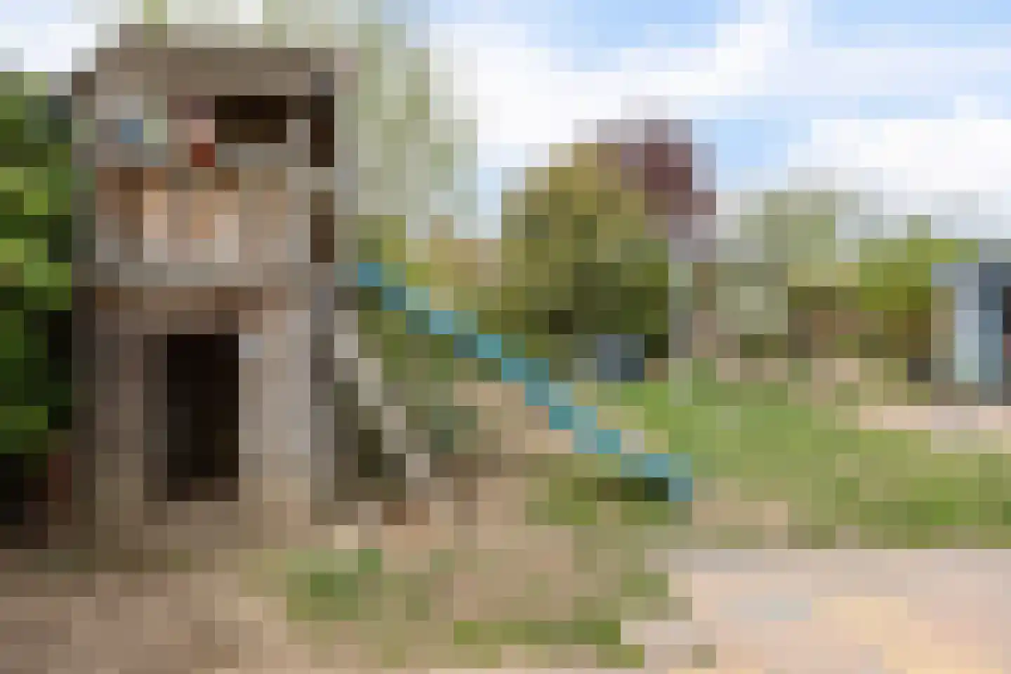 de Keverbergstraat 48 Haelen thumbnail 37