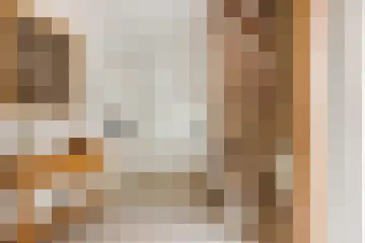 de Keverbergstraat 58 Haelen thumbnail 5