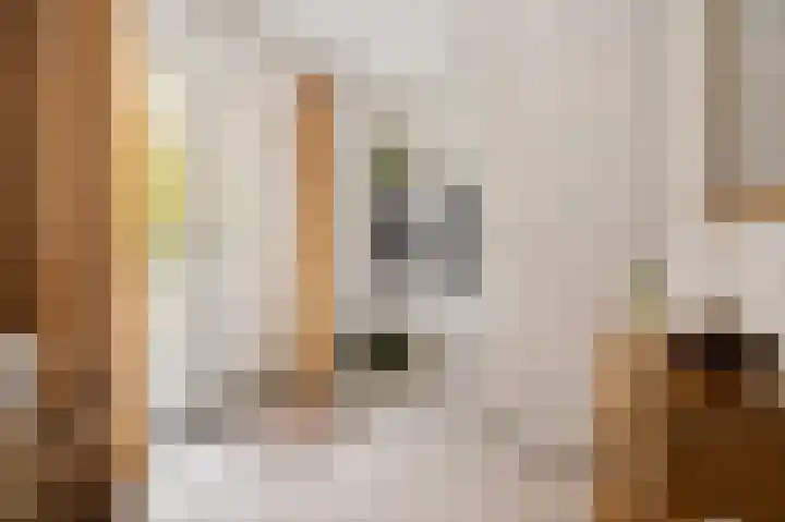 de Keverbergstraat 58 Haelen thumbnail 6