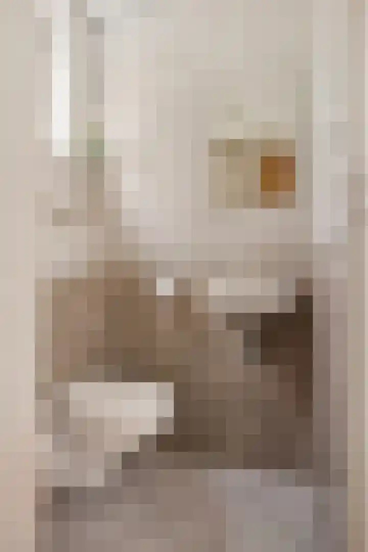 de Keverbergstraat 58 Haelen thumbnail 7