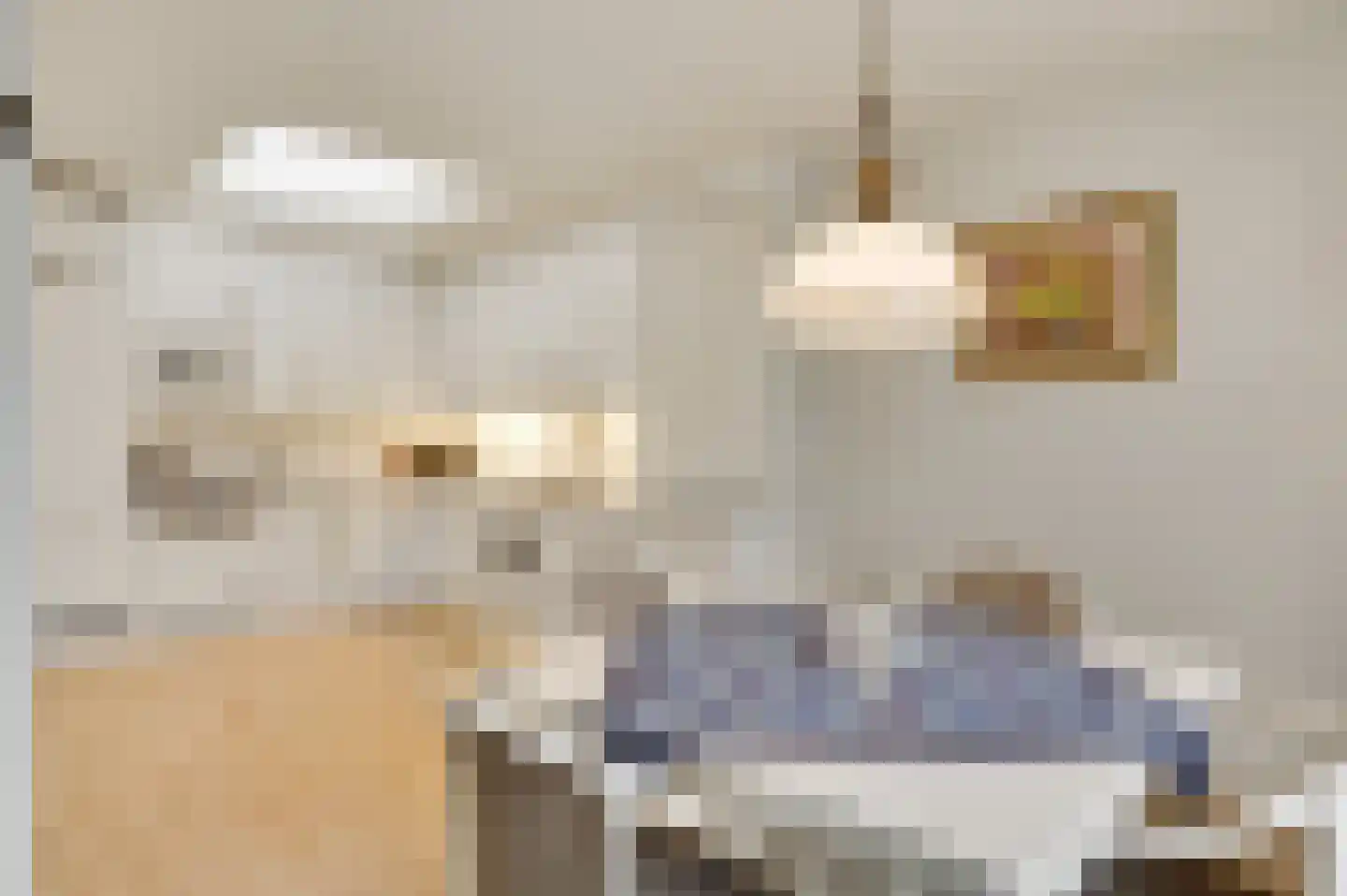 de Keverbergstraat 70 Haelen thumbnail 20
