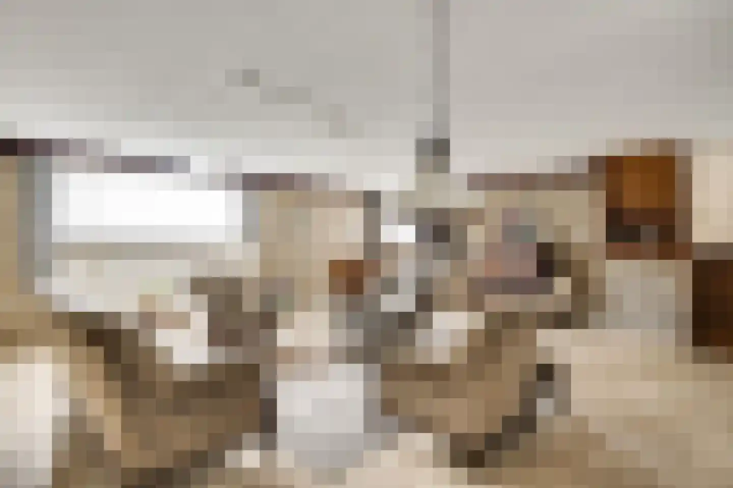 de Keverbergstraat 70 Haelen thumbnail 32