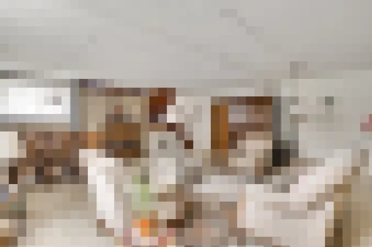 de Keverbergstraat 70 Haelen thumbnail 33