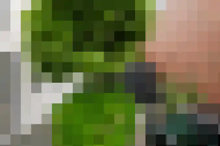De Keyserplan 17 Zoetermeer thumbnail 15