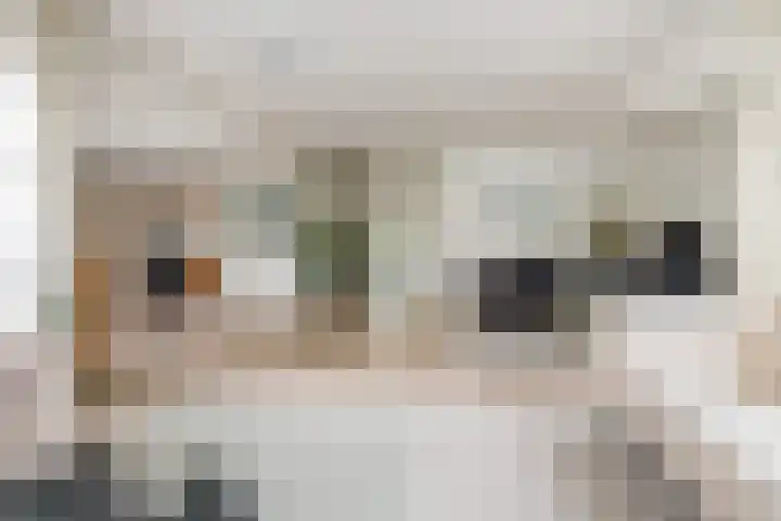 De Keyserplan 17 Zoetermeer thumbnail 22