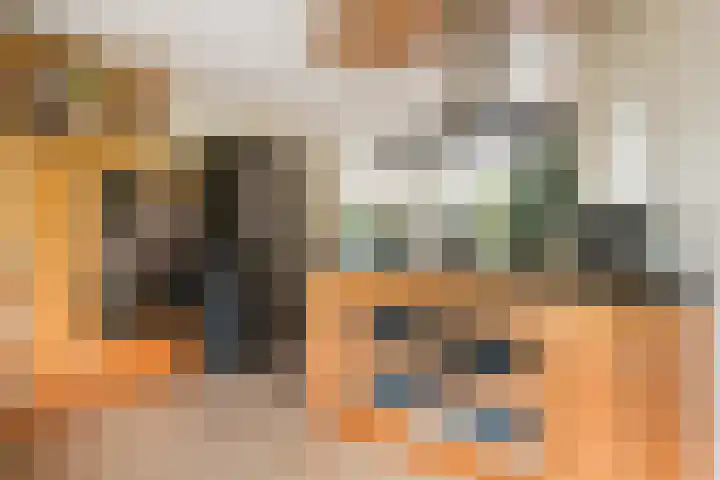 De Keyserplan 17 Zoetermeer thumbnail 29