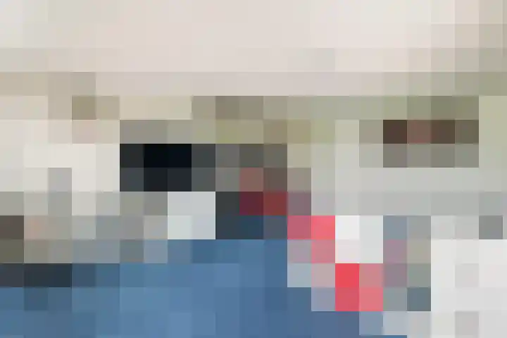 De Keyserplan 17 Zoetermeer thumbnail 40