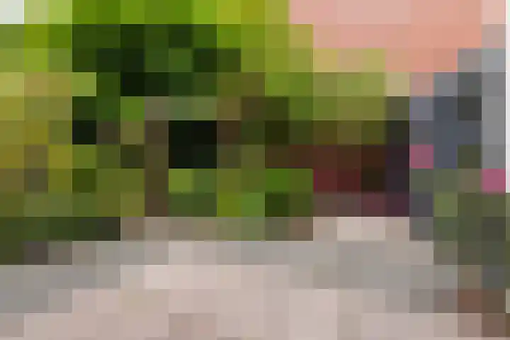 De Keyserplan 17 Zoetermeer thumbnail 49