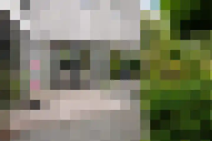 De Keyserplan 17 Zoetermeer thumbnail 50