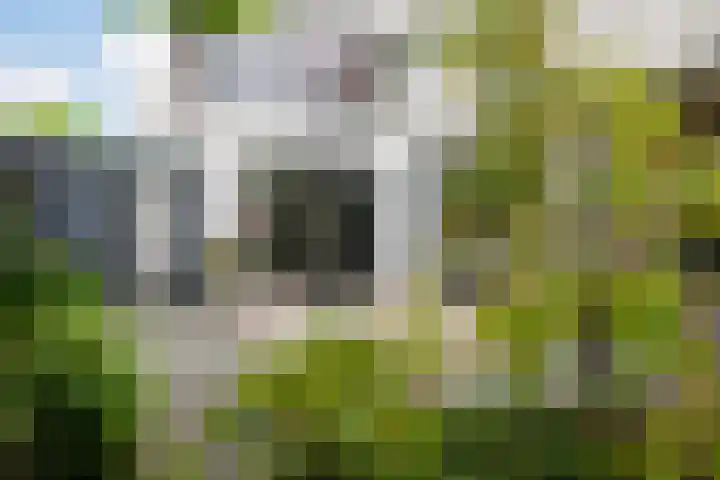 De Keyserplan 17 Zoetermeer thumbnail 51