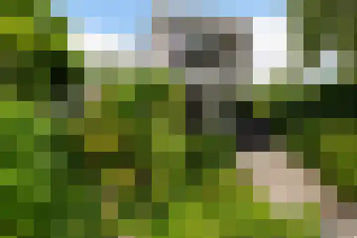 De Keyserplan 17 Zoetermeer thumbnail 54