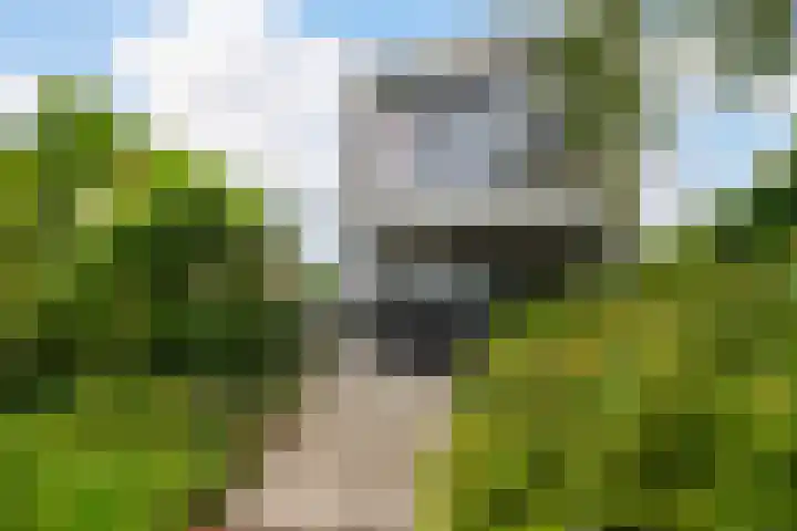 De Keyserplan 17 Zoetermeer thumbnail 55