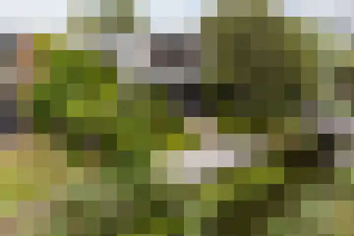De Keyserplan 17 Zoetermeer thumbnail 58