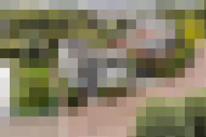 De Keyserplan 17 Zoetermeer thumbnail 62