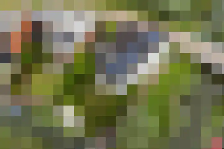 De Keyserplan 17 Zoetermeer thumbnail 63