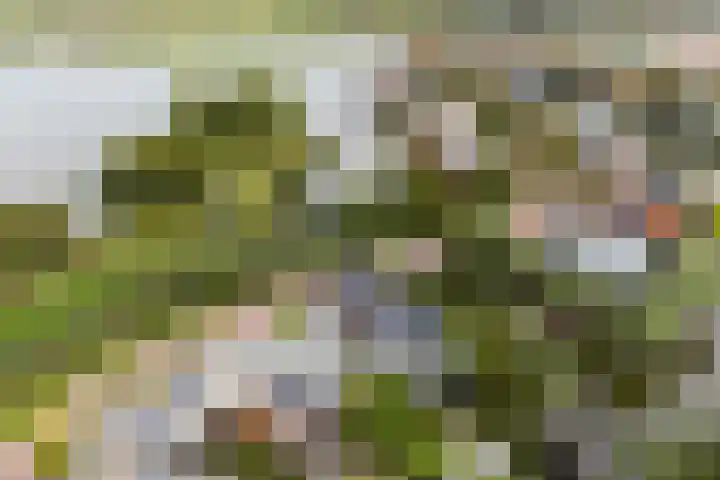 De Keyserplan 17 Zoetermeer thumbnail 64