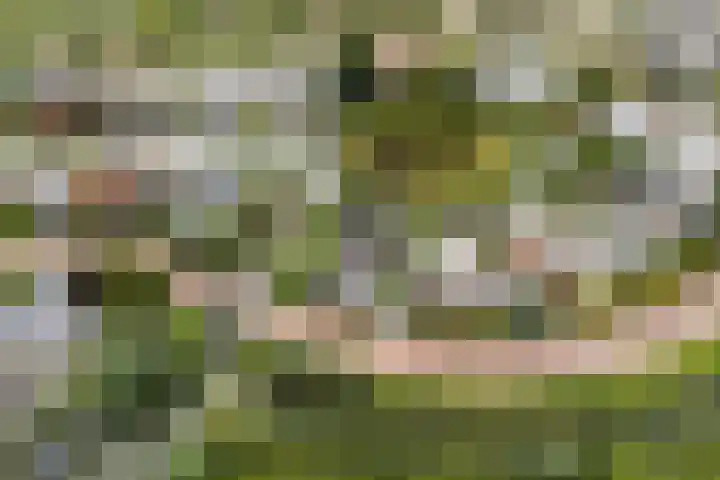 De Keyserplan 17 Zoetermeer thumbnail 65