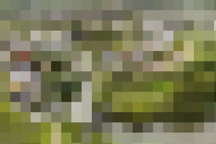 De Keyserplan 17 Zoetermeer thumbnail 66
