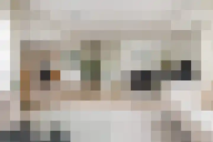 De Keyserplan 17 Zoetermeer thumbnail 7