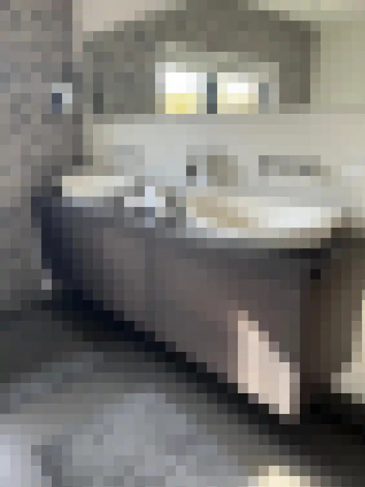 De Keyserplan 5 Zoetermeer thumbnail 27