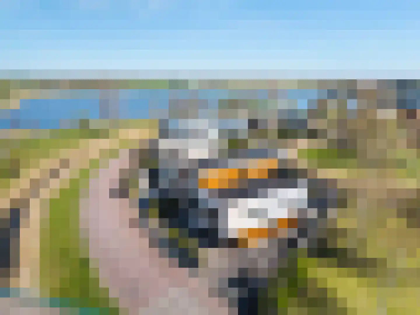 De Keyserplan 5 Zoetermeer thumbnail 70