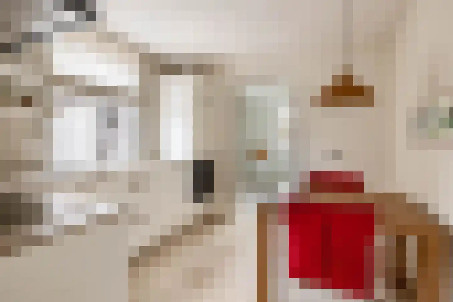 De Keyserstraat 9 Veghel thumbnail 12