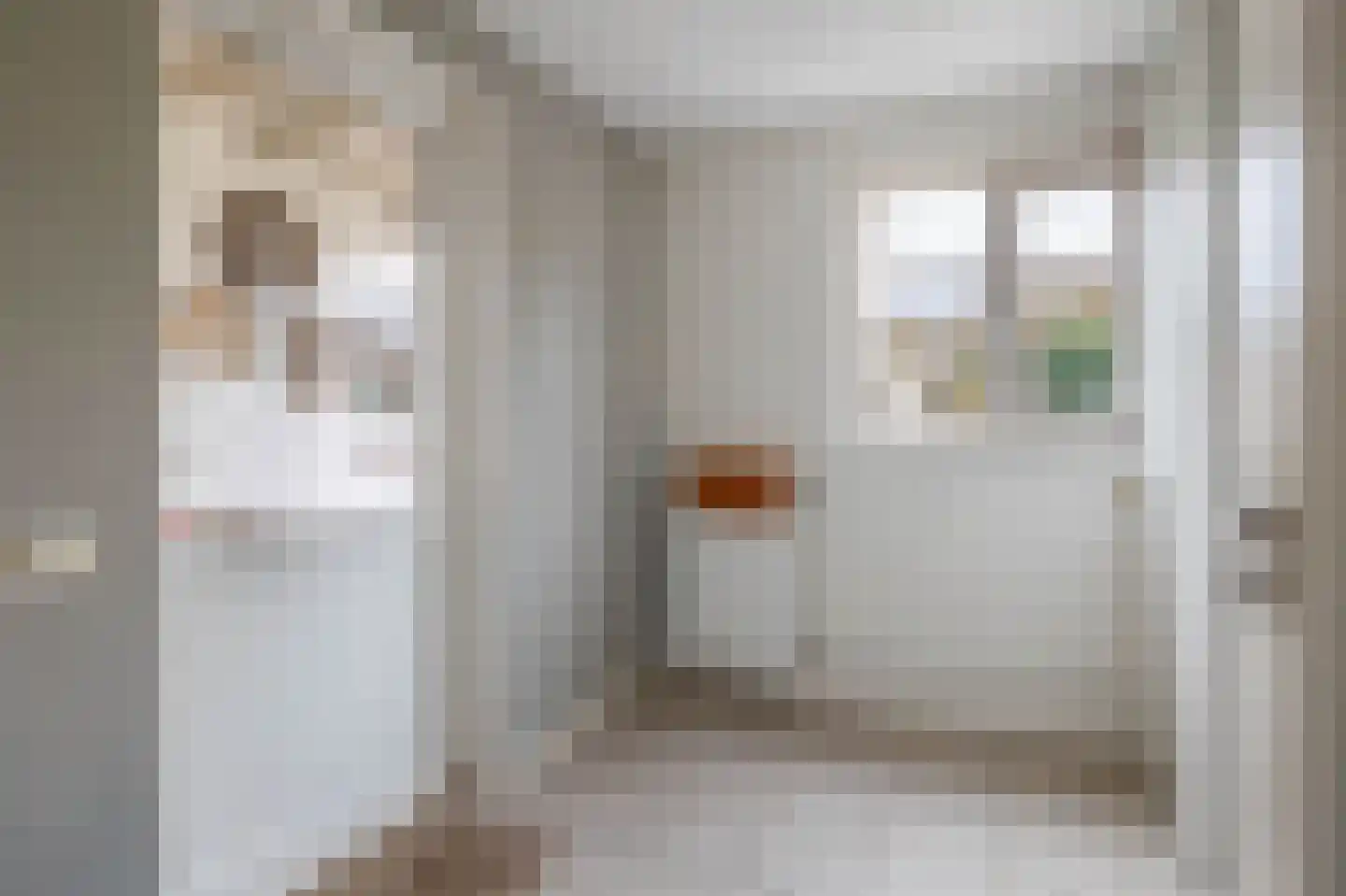 De Keyserstraat 9 Veghel thumbnail 13