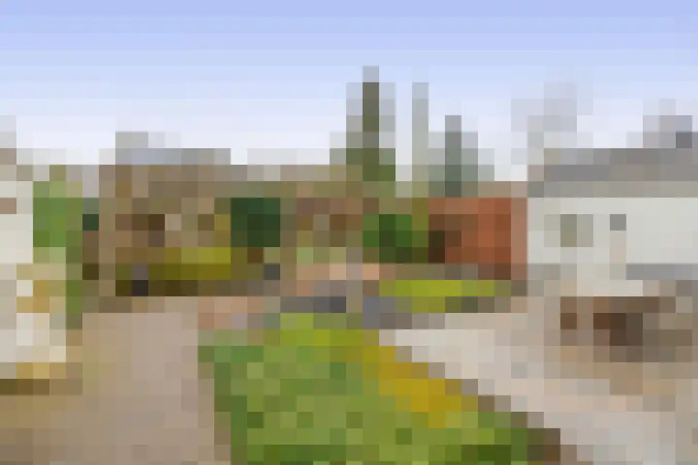 De Keyserstraat 9 Veghel thumbnail 25