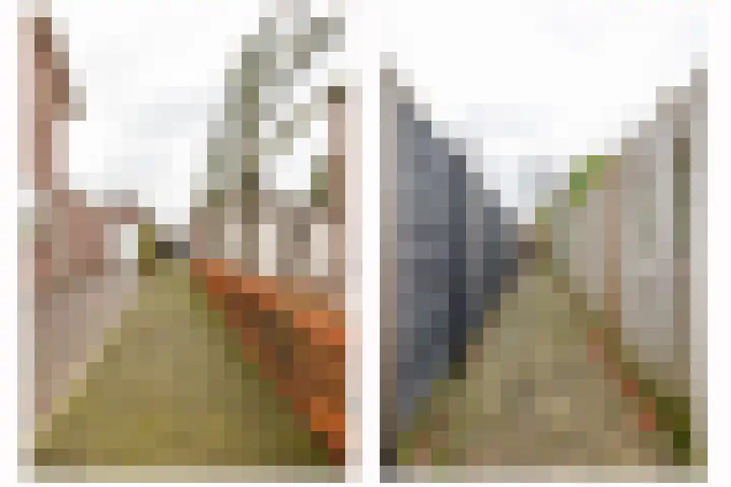 De Keyserstraat 9 Veghel thumbnail 28