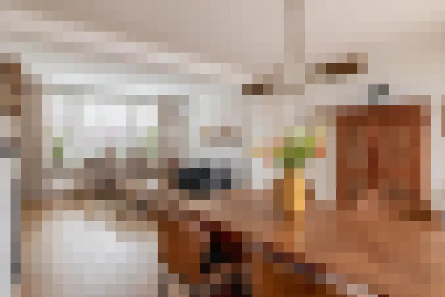 De Keyserstraat 9 Veghel thumbnail 6