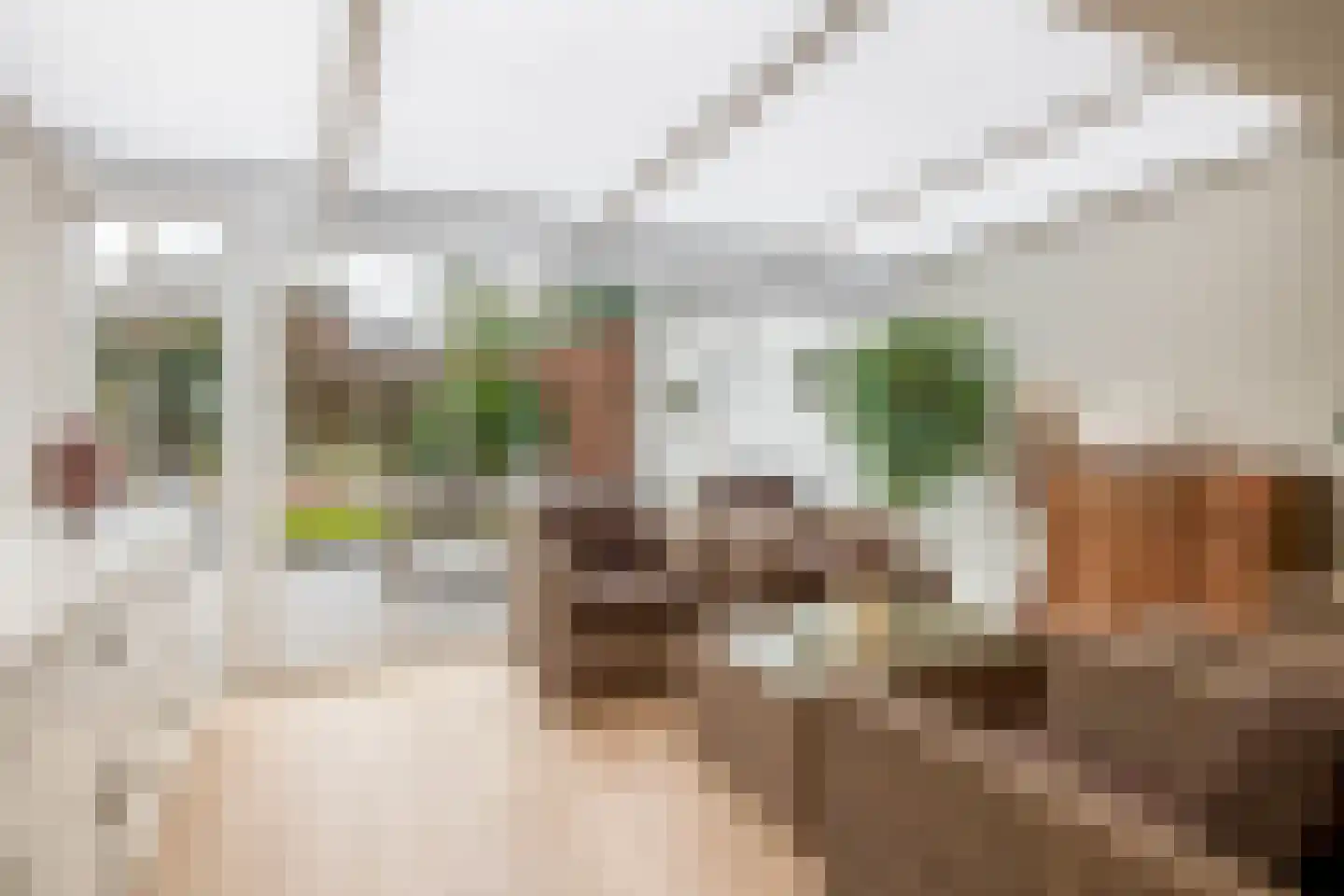 De Keyserstraat 9 Veghel thumbnail 7