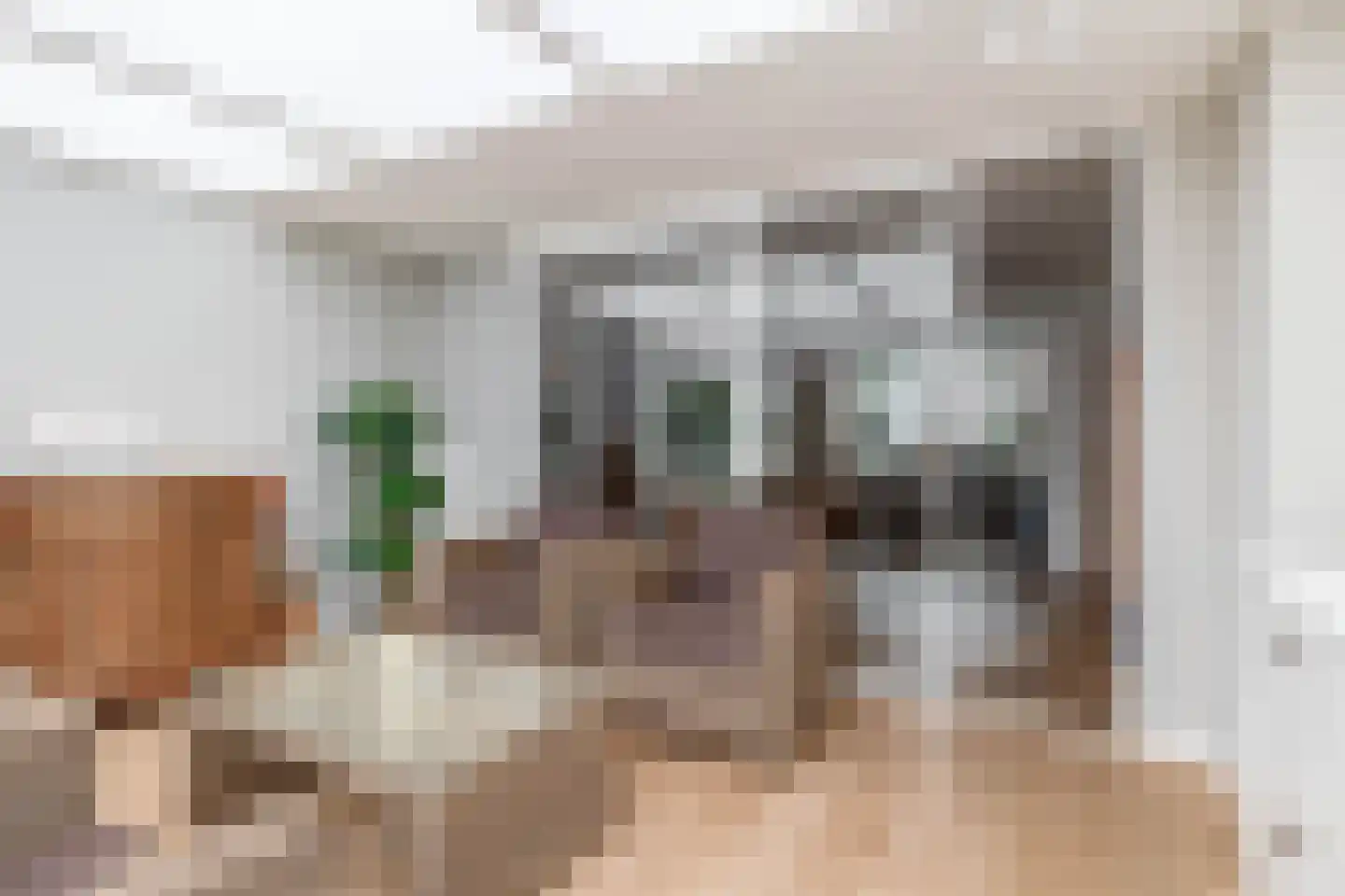 De Keyserstraat 9 Veghel thumbnail 8