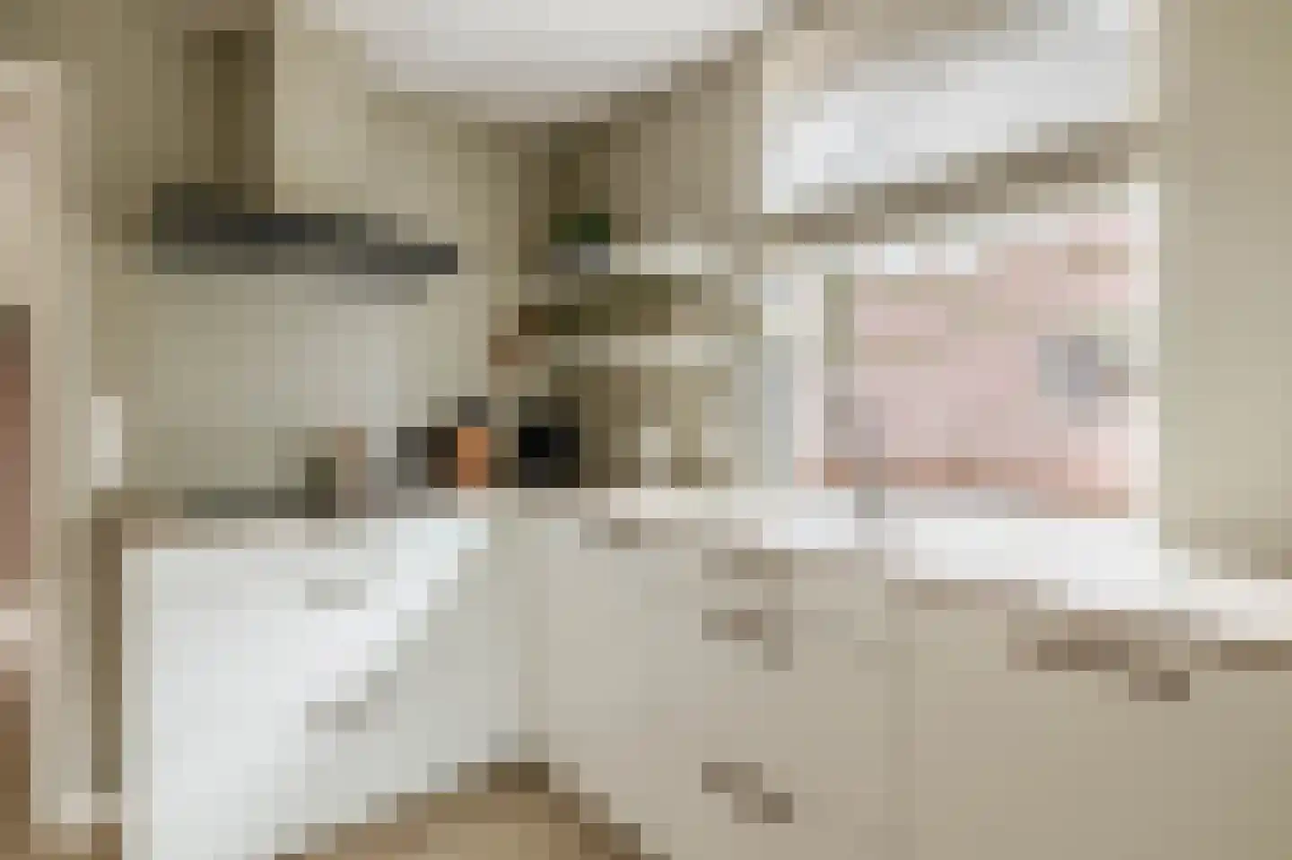De Keyserstraat 9 Veghel thumbnail 9