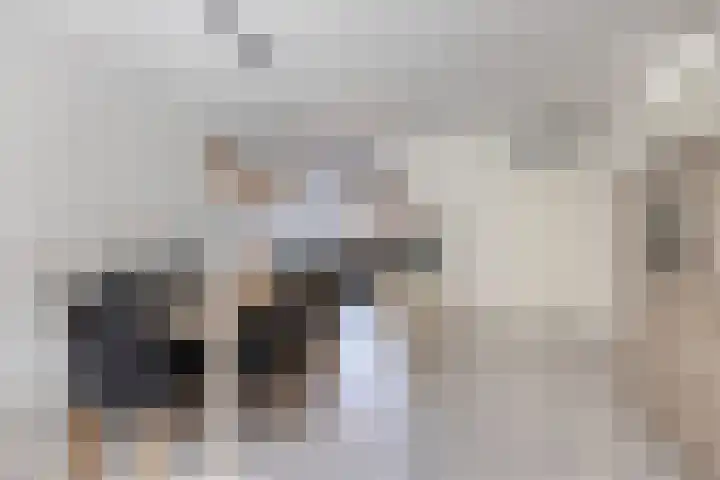De Kiel 51 Dronten thumbnail 11