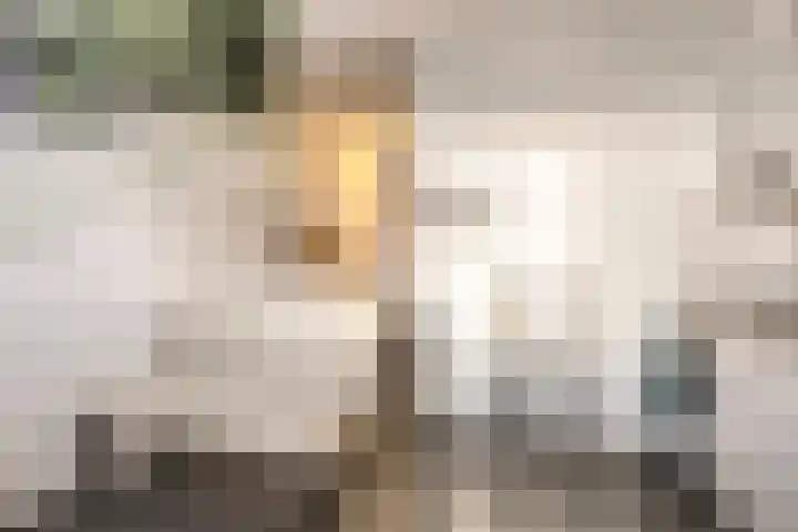 De Kiel 72 Dronten thumbnail 12