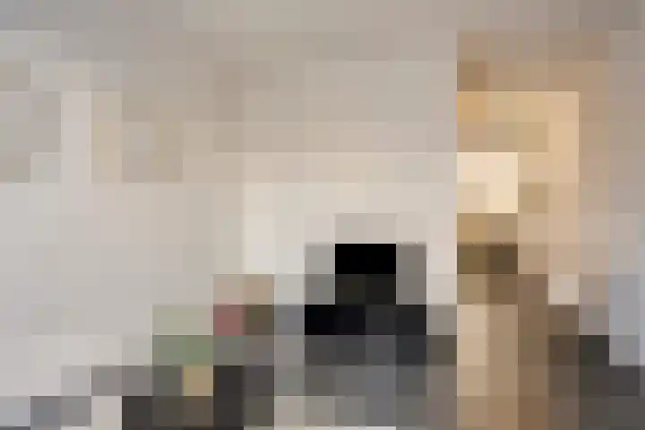 De Kiel 72 Dronten thumbnail 17