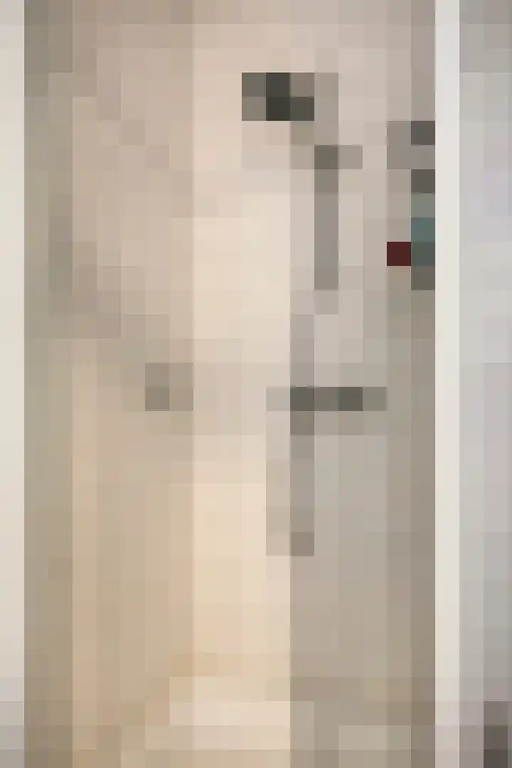 De Kiel 72 Dronten thumbnail 19