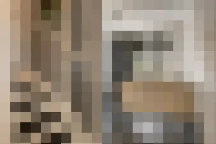 De Kiel 72 Dronten thumbnail 23