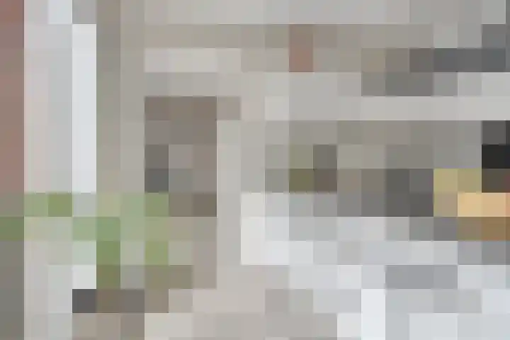 De kiem 2 Oss thumbnail 13