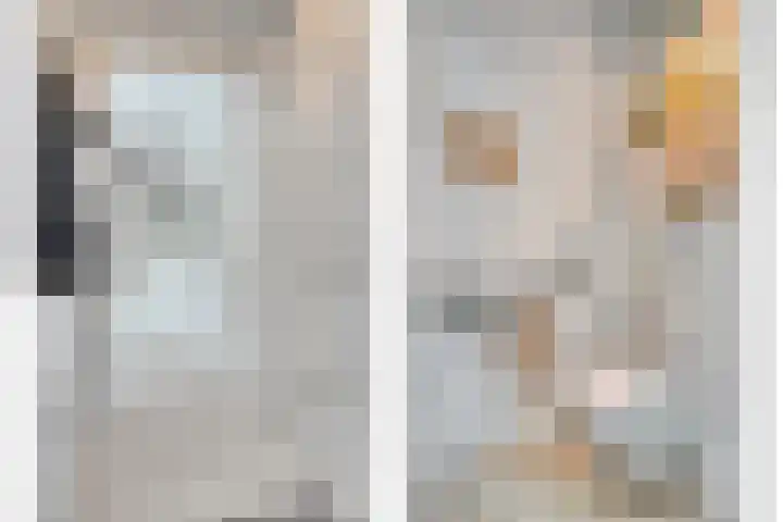 De kiem 2 Oss thumbnail 16