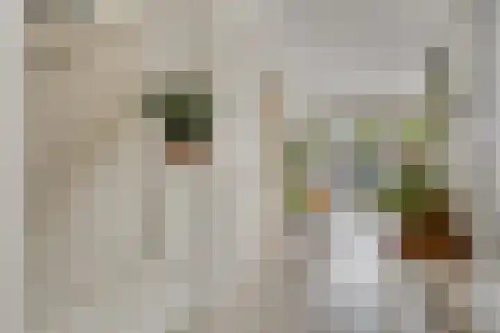 De kiem 2 Oss thumbnail 18