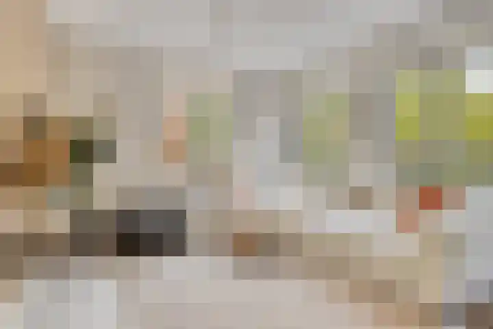 De kiem 2 Oss foto 2