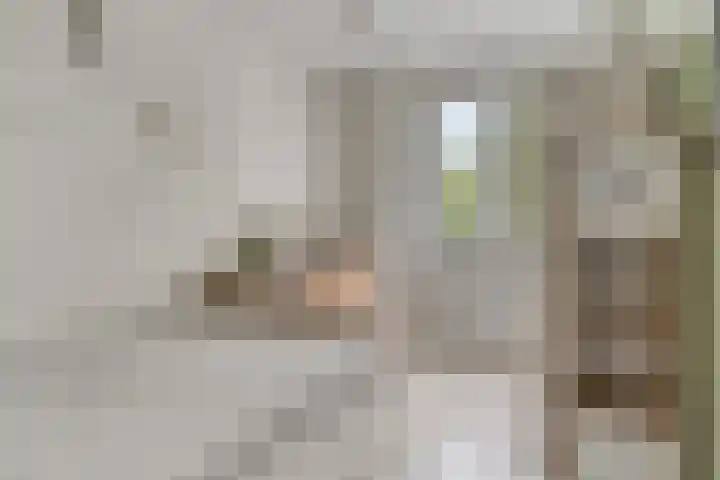 De kiem 2 Oss thumbnail 21