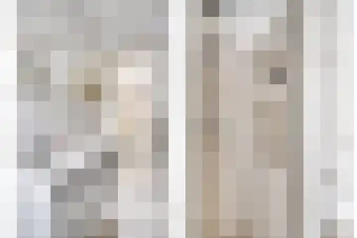 De kiem 2 Oss thumbnail 23