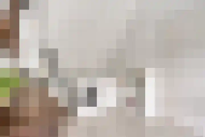 De kiem 2 Oss thumbnail 27