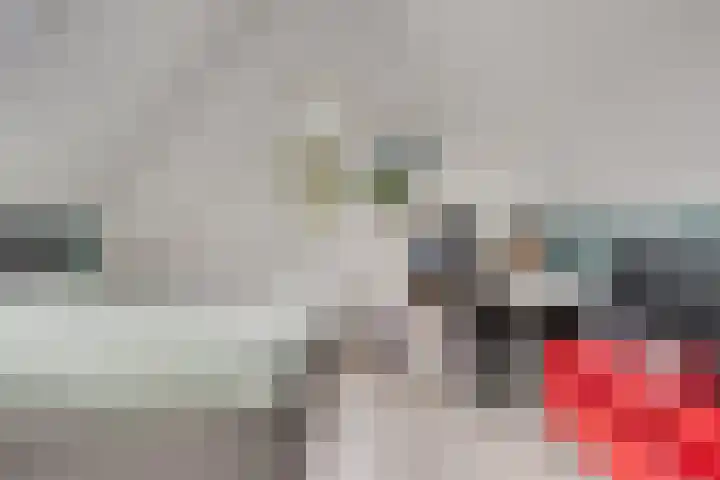 De kiem 2 Oss thumbnail 29