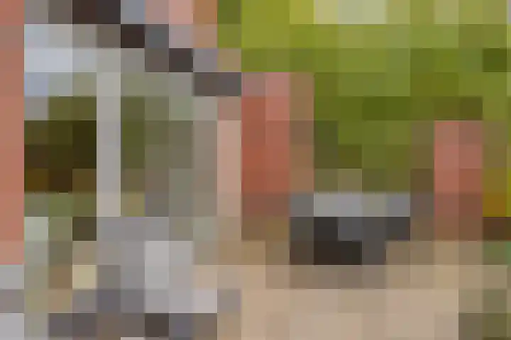 De kiem 2 Oss thumbnail 32