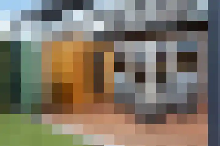 De kiem 2 Oss thumbnail 41