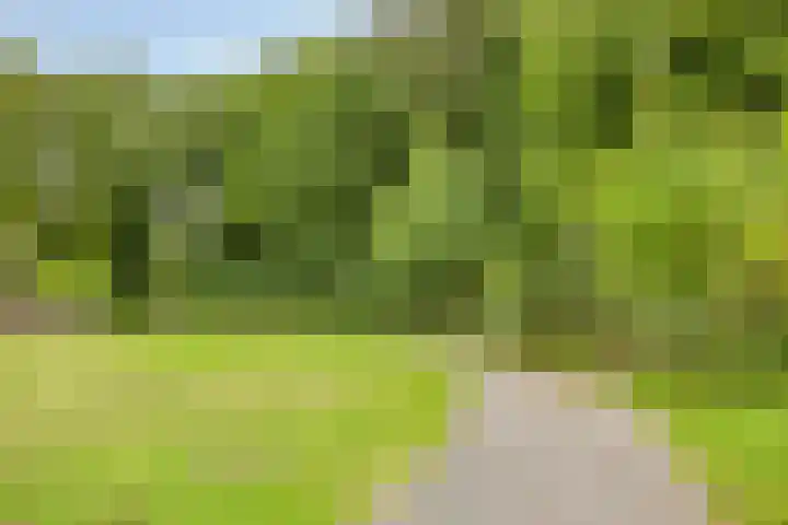 De kiem 2 Oss thumbnail 43